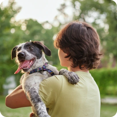 Dog image 3