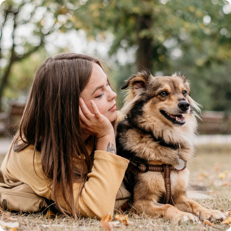 Dog image 1